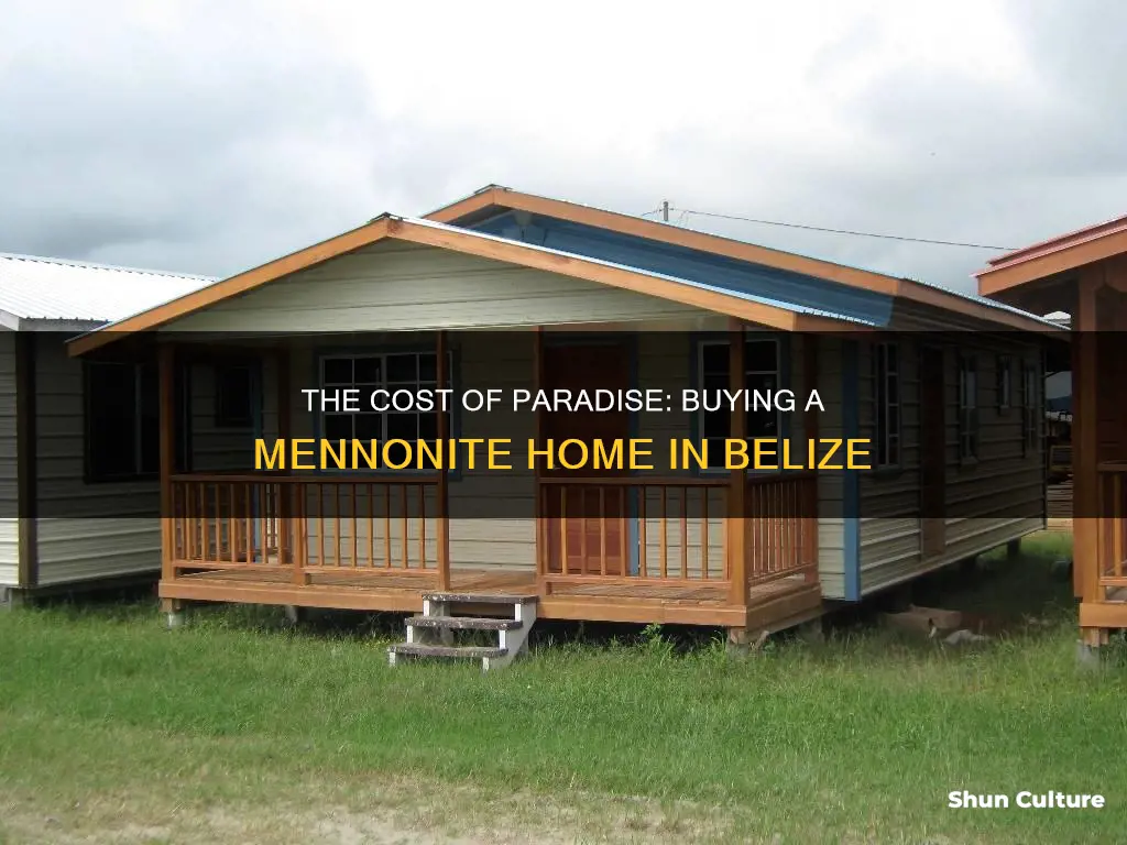 how much for a mennonite house in belize