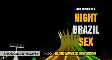 Exploring Brazil's Nightlife: Costs and Considerations for Adult Entertainment