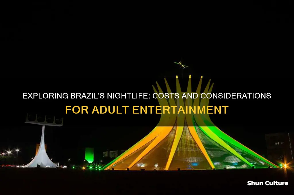 how much for a night brazil sex