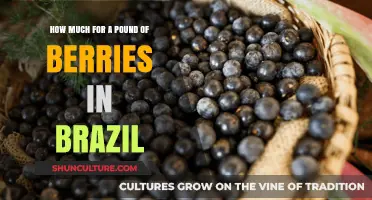 Berry Prices in Brazil: Cost of a Pound Revealed