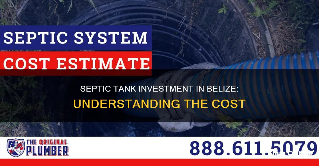 how much for a septic tank in belize