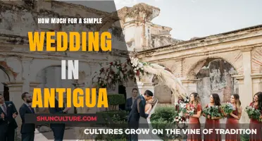 Affordable Antigua Wedding: Simple Celebration Costs Revealed