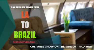 Private Jet Cost: LA to Brazil Travel Expenses Revealed