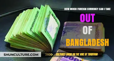 Traveling Abroad? Understand Bangladesh's Foreign Currency Export Limits