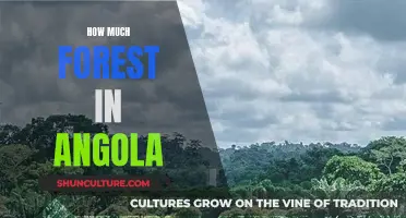 Angola's Forests: How Much Remains?