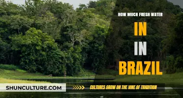 Brazil's Freshwater Reserves: Abundance, Distribution, and Sustainability Challenges
