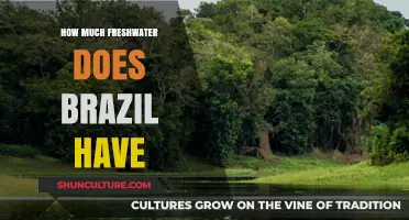 Brazil's Freshwater Reserves: Abundance, Distribution, and Sustainability Challenges