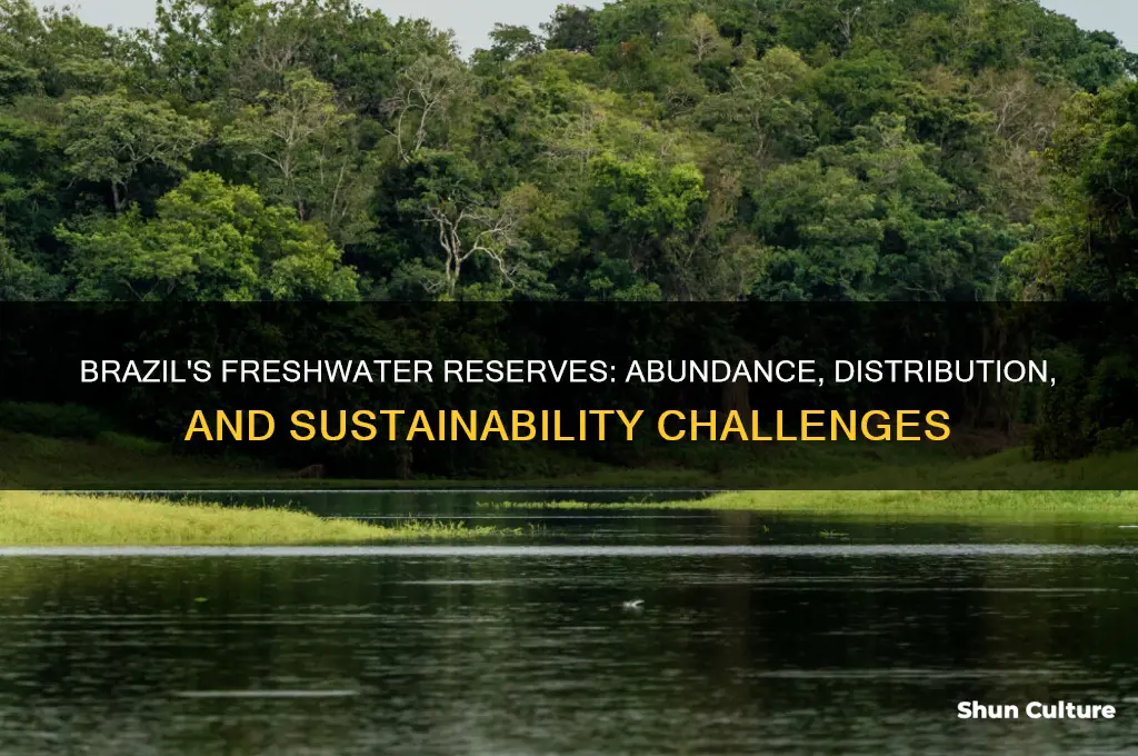 how much freshwater does brazil have