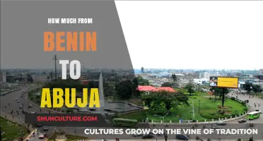 Exploring the Cost of Travel from Benin to Abuja