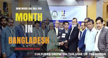 Average Monthly Gas Bill Costs in Bangladesh: A Comprehensive Breakdown
