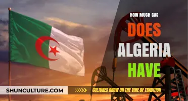 Algeria's Gas Reserves: Unveiling the Nation's Energy Potential and Impact