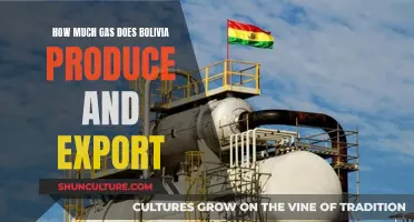 Bolivia's Gas Production and Exports: Insights and Analysis