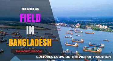 Exploring Bangladesh's Gas Fields: Reserves, Potential, and Future Prospects