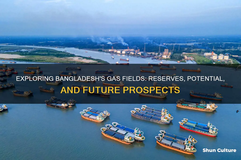 how much gas field in bangladesh