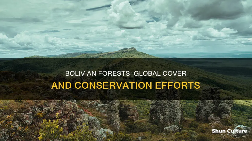 how much global forest cover does bolivia have