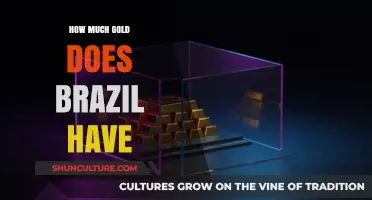 Brazil's Gold Reserves: Unveiling the Nation's Precious Metal Holdings