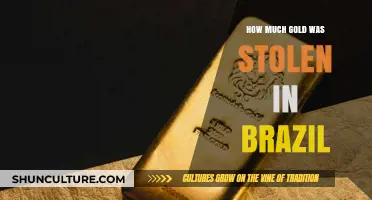Brazil's Gold Heist: Uncovering the Value of the Stolen Treasure