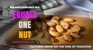 Brazil Nuts Serving Size: How Much Ground Equals One Whole Nut?