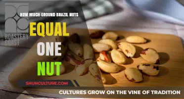 Brazil Nuts Serving Size: How Much Ground Equals One Whole Nut?