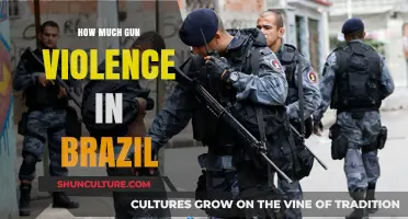 Brazil's Gun Violence Crisis: Understanding the Scope and Impact