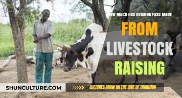 Livestock Prosperity in Burkina Faso: A Decade of Growth and Challenges