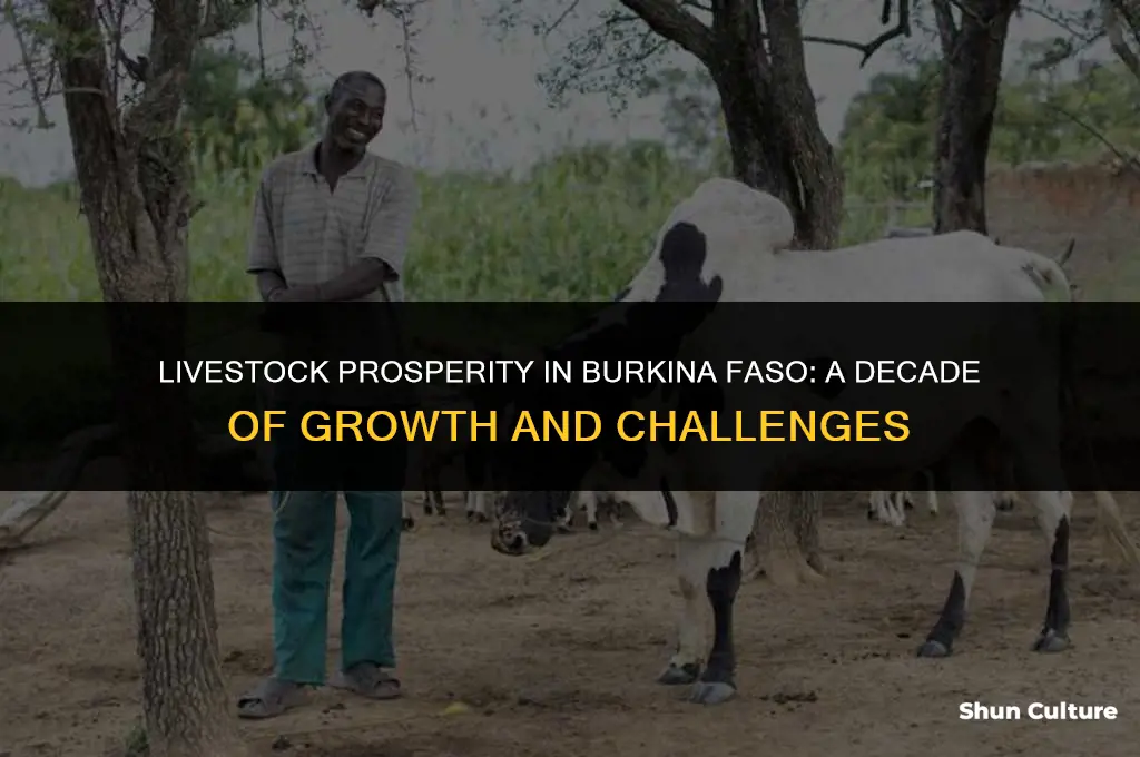 how much has burkina faso made from livestock raising