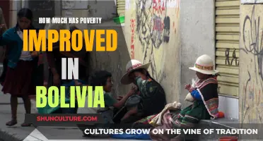 Bolivian Poverty: A Look at the Country's Progress