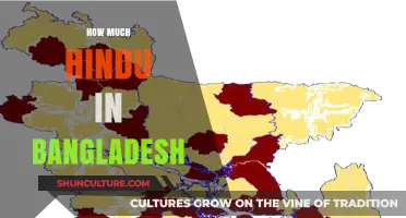 Hindu Population in Bangladesh: Demographics, Trends, and Cultural Impact