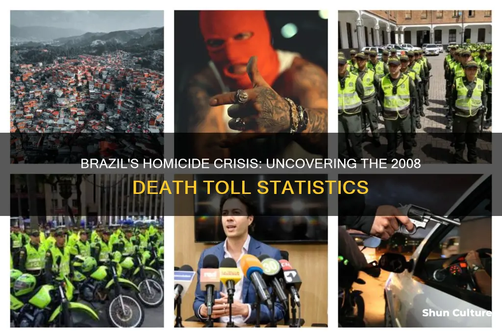 how much homecide in brazil in 2008