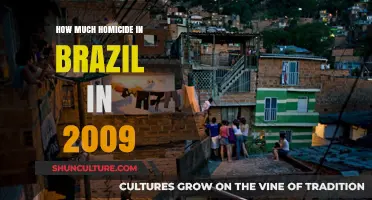 Brazil's Homicide Crisis: Uncovering the 2009 Death Toll Statistics