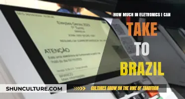 Traveling to Brazil: Electronics Allowance and Customs Guidelines