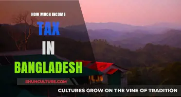 Understanding Bangladesh's Income Tax Rates and Calculations for 2023