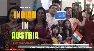 Exploring the Indian Presence: A Look at Austria's Diversity