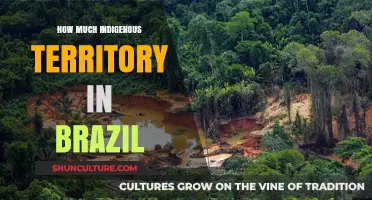 Brazil's Indigenous Lands: Mapping Territorial Rights and Cultural Preservation