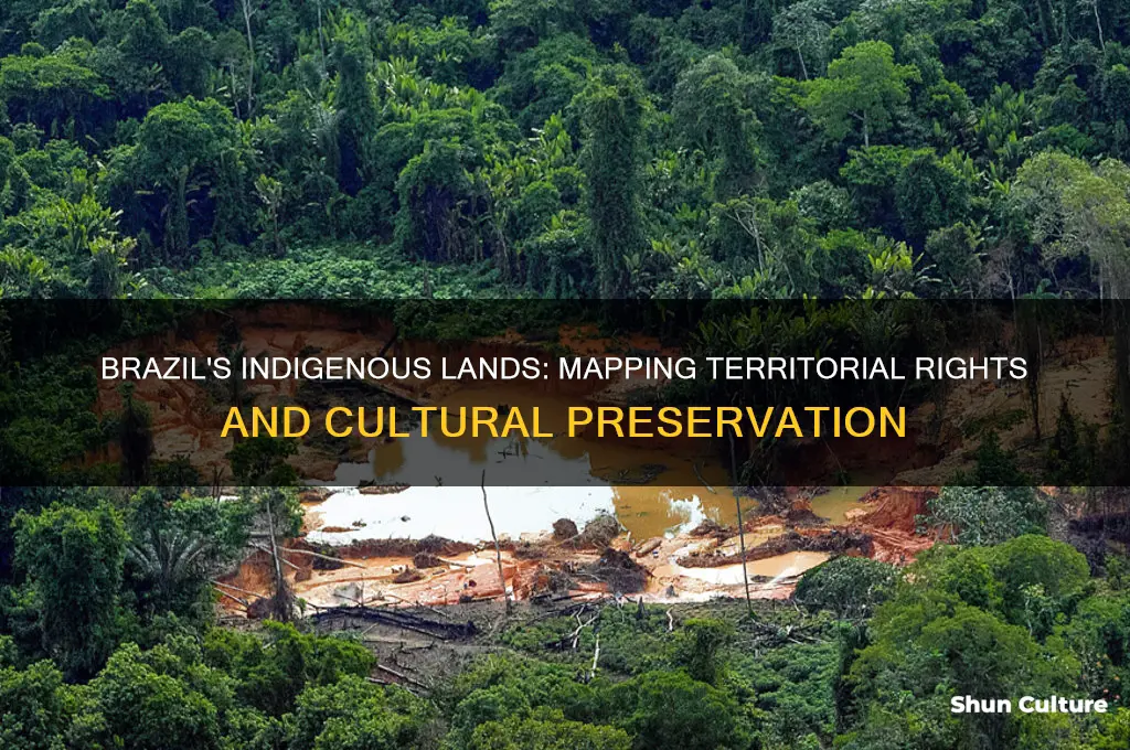 how much indigenous territory in brazil