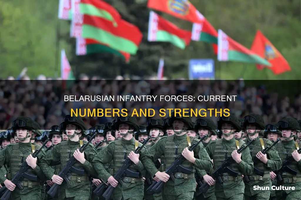 how much infantry does belarus have