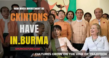 Unveiling the Clintons' Investment Ventures in Burma
