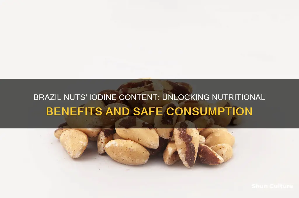 how much iodine in brazil nuts
