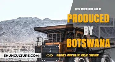 Botswana's Iron Ore Production: Current Output and Economic Impact