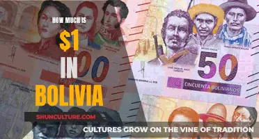 Exploring the Value of a Dollar in Bolivia