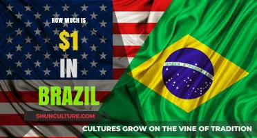 Understanding the Value: How Much is $1 Worth in Brazil?
