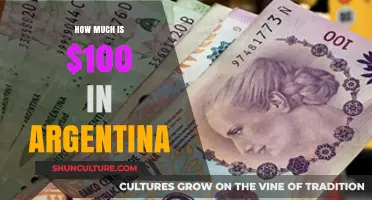 Exploring the Value of $100 in Argentina: A Comprehensive Guide