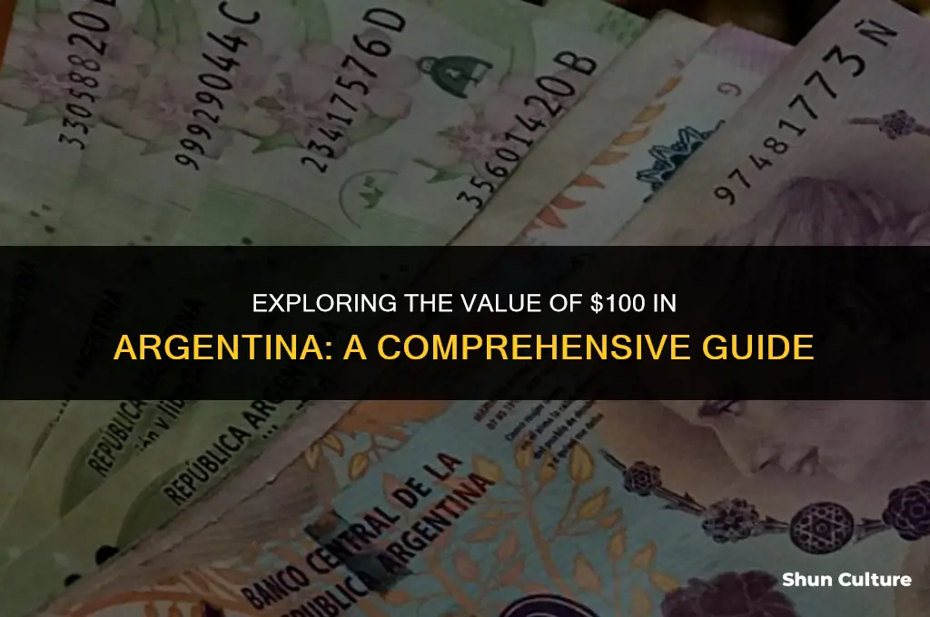 how much is $100 in argentina