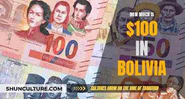 Exploring the Value of $100 in Bolivia