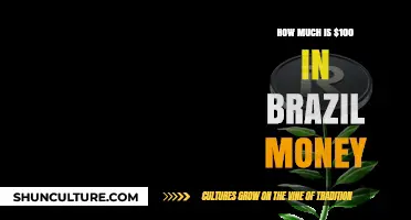 Understanding the Value: Converting $100 to Brazilian Real