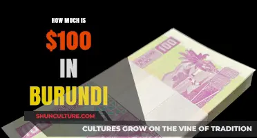 Exploring the Value of $100 in Burundi: A Local Perspective