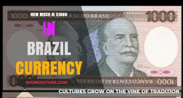 Understanding the Value: Converting $1000 to Brazilian Real