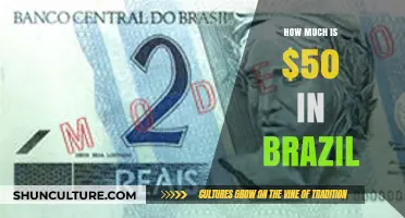 Understanding the Value: How Much is $50 Worth in Brazil?