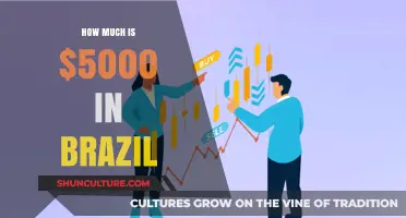 Understanding the Value of $5000 in Brazil's Economy Today