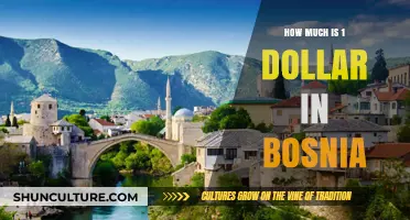 Understanding the Value: 1 USD to Bosnia's Currency Exchange Rate